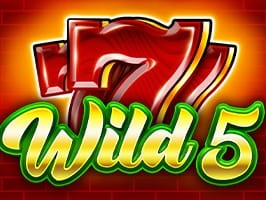 Wild 5 game screenshot